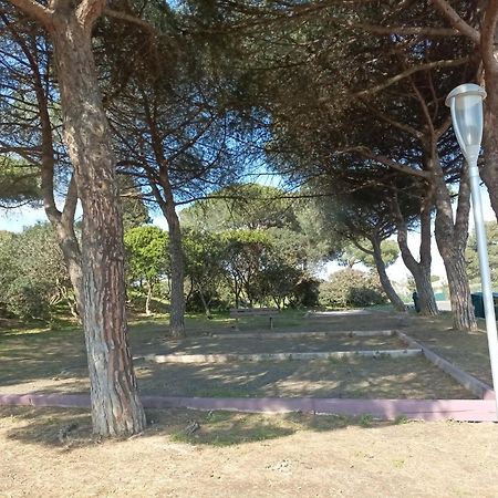 Apartament Lara 3 - T2 Loggia Piscine 2 Lits Doubles Parking Pres Du Centre-Port Et Ile Loisirs Agde Zewnętrze zdjęcie